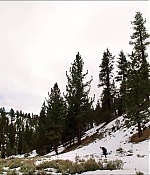 0646.jpg